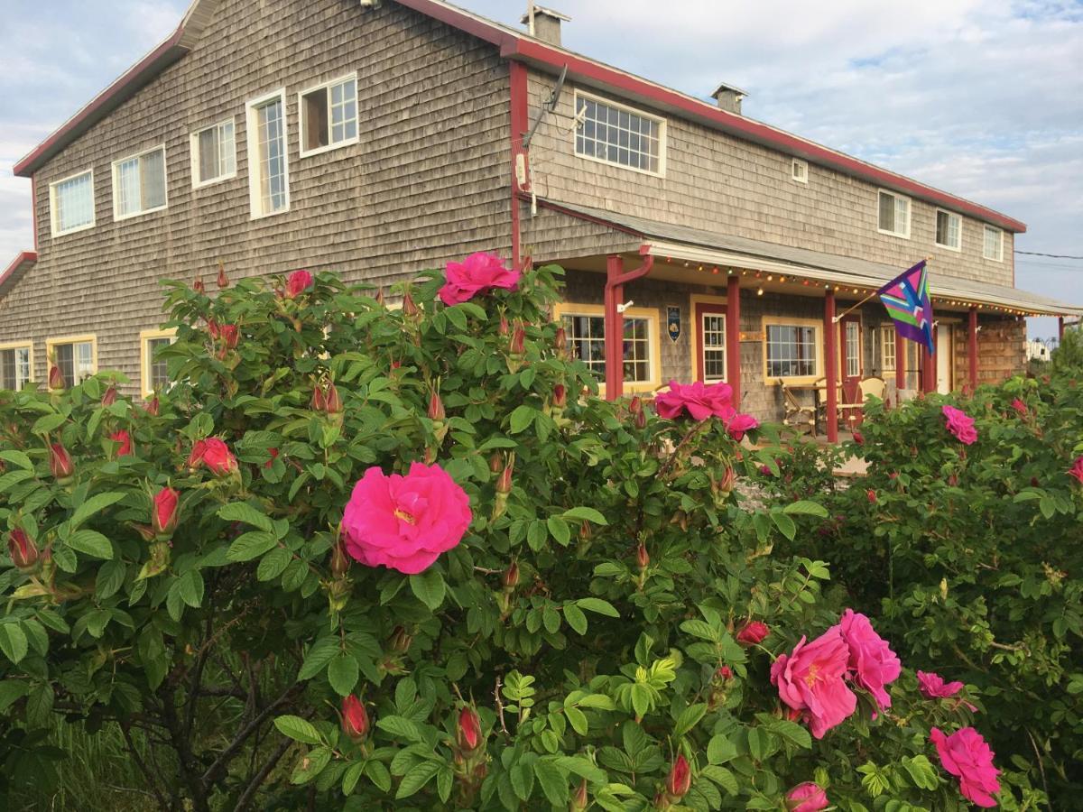 Auberge Cafe Acadien Бонавентур Екстер'єр фото